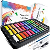 Caja de acuarelas- RATEL set de pintura de acuarelas incluye 36 colores pigmento sólido + 2 plumas de gancho de línea…